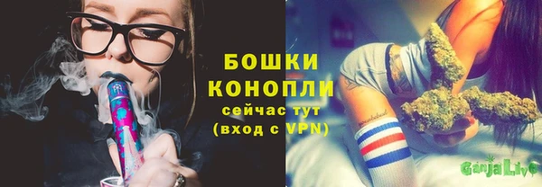 герыч Бикин