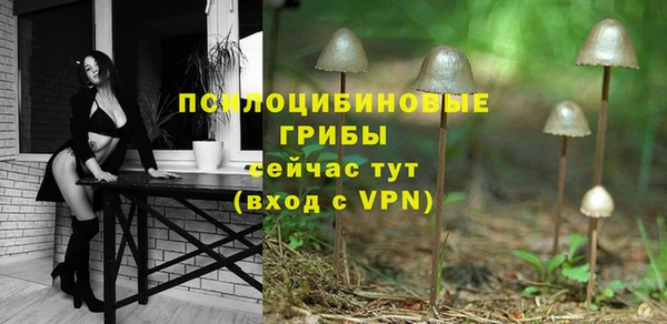 крисы Беслан