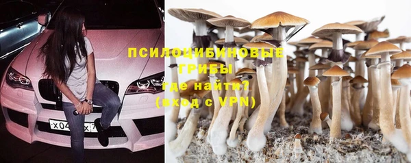 прущий лед Болхов