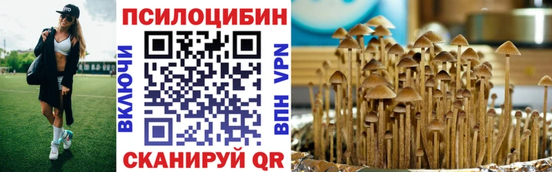 Псилоцибиновые грибы Psilocybe  купить наркоту  Зеленодольск 