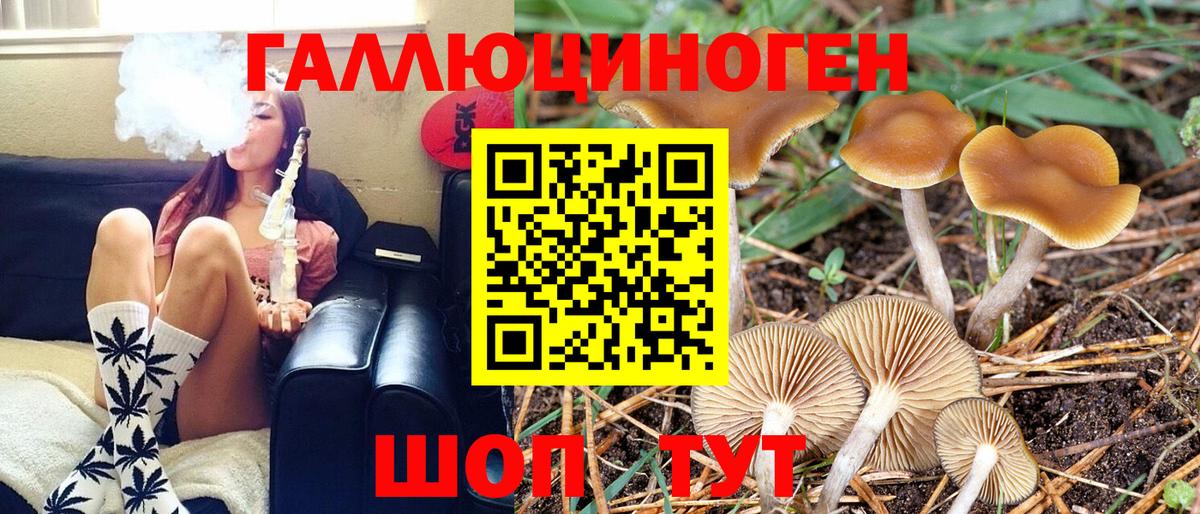 Хэш  Бошки Шишки  СОЛЬ CK  Мяу-Мяу  Вход с VPN  Зеленодольск  МДМА  Мяу-Мяу  Гашик 