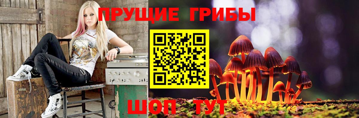 купить наркотики сайты  Зеленодольск  Галлюциногенные грибы Magic Shrooms 