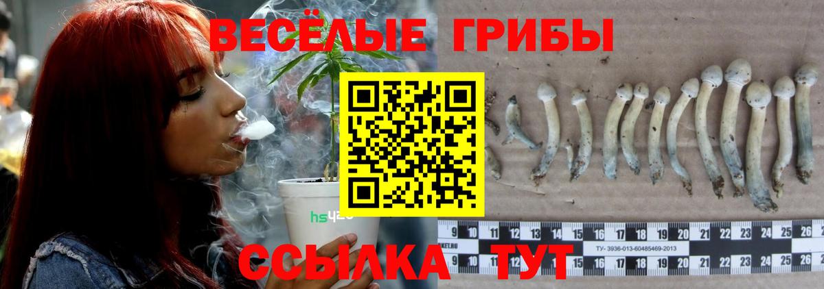 Галлюциногенные грибы Cubensis Зеленодольск